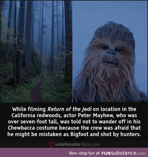 Trespassers will be shot. Actors dressed as Chewbacca will be shot again