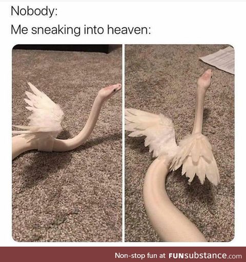 Snekking into heaven