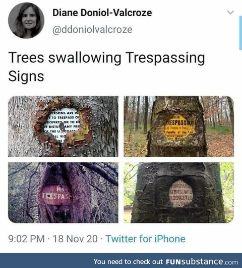Trees swallowing trespasser signs