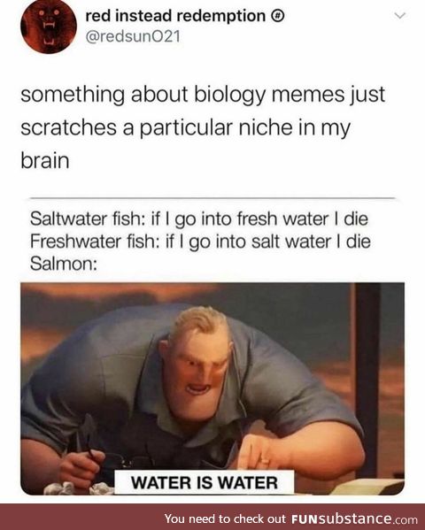 Salmon: water is water