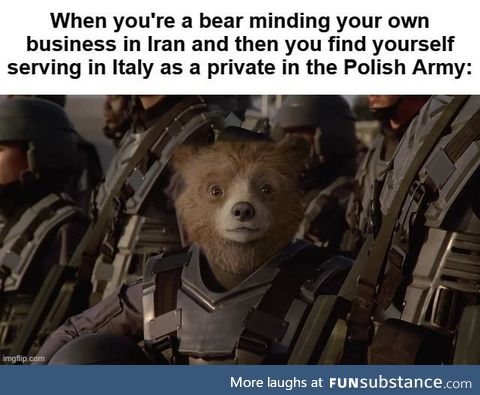 Wojtek is tired of the puns; It's un-bear-able