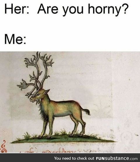 Come here deer