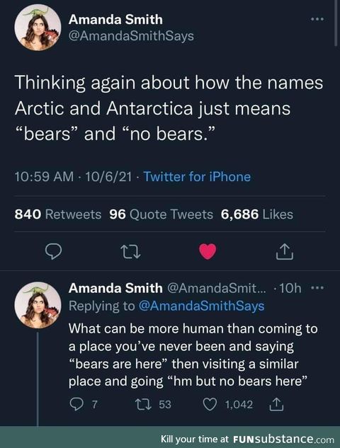 Those bears