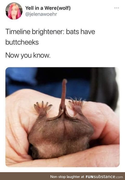 Bat butt. That is all.