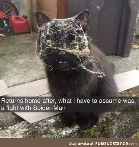 A fight with spiderman