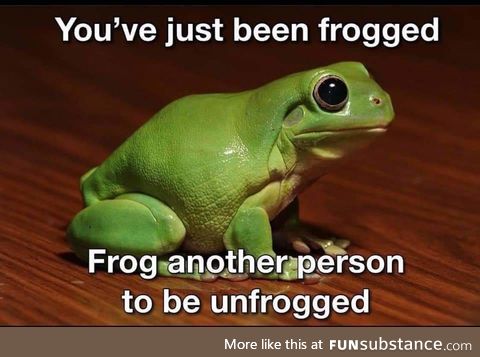 This is a froggery