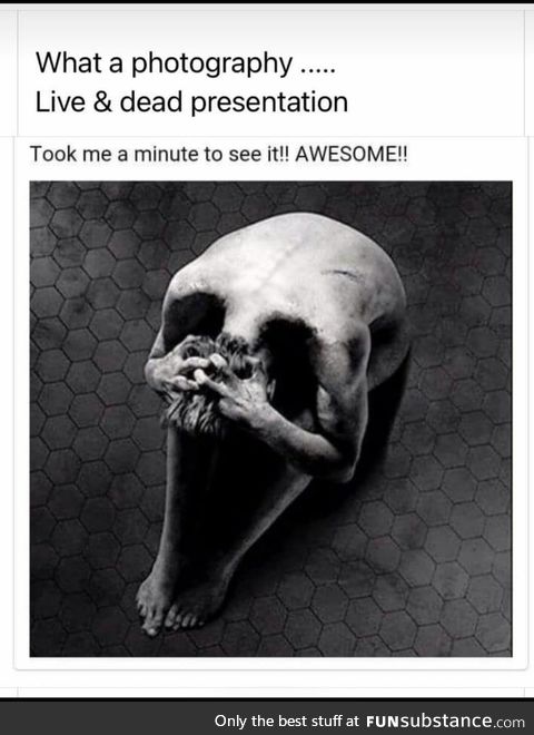 Photography Live & Dead Presentation