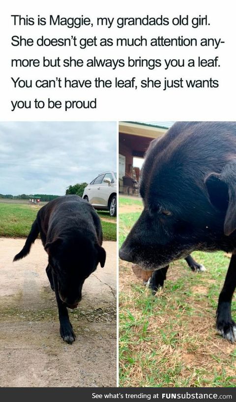 Maggie just wants you to be proud of her leaf