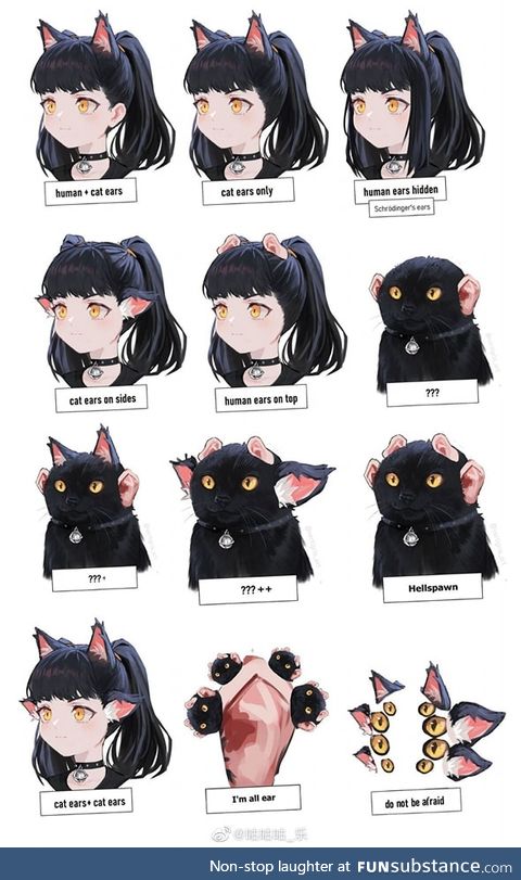 Cat girls or girl cats or cat cats or ..