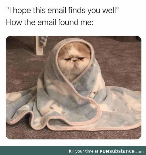 Hope this email finds you well