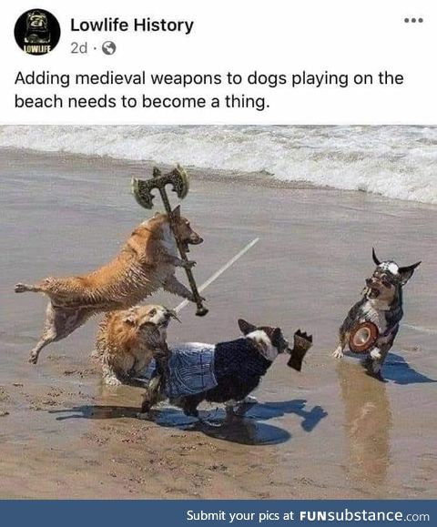 Adding Medieval Weapons to dogs playing on the beach