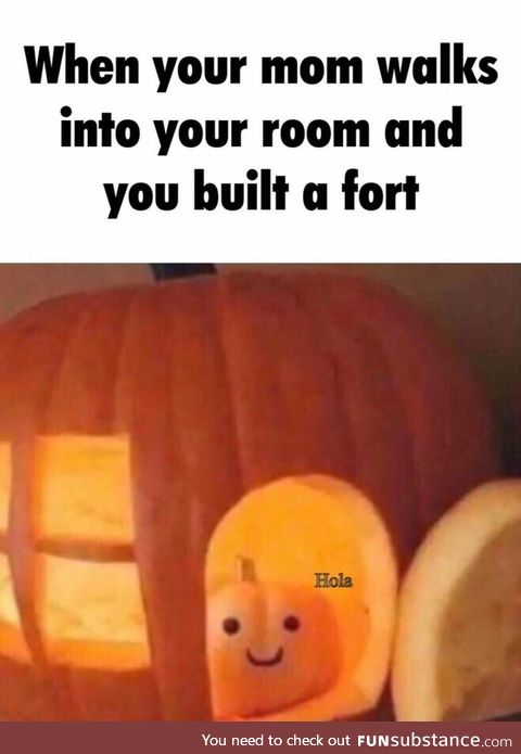 Built a fort in your room