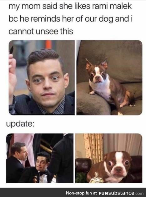 Rami Malek reminds her of their dog