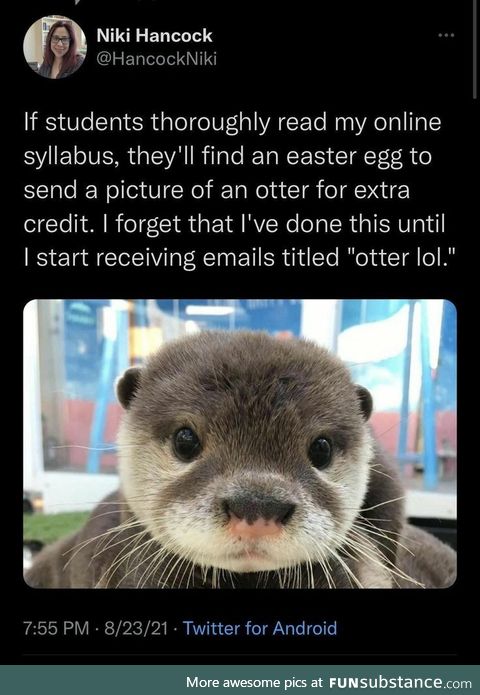 This otter get some extra credit