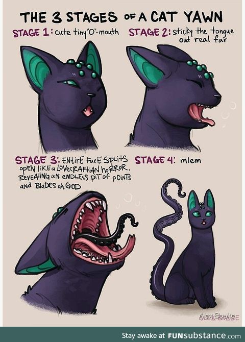 Stages of cat yawn