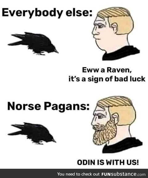 Raven perception