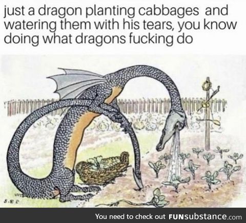 Just a dragon planting cabbages