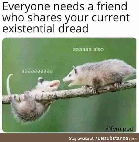 A friend to share existential dread