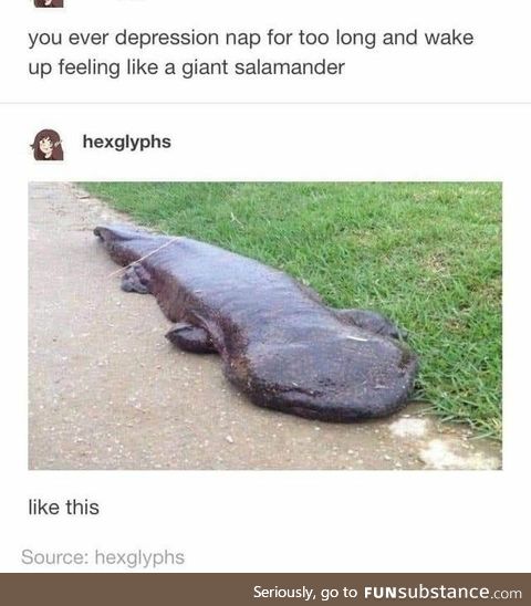 Wake up feeling like a giant salamander