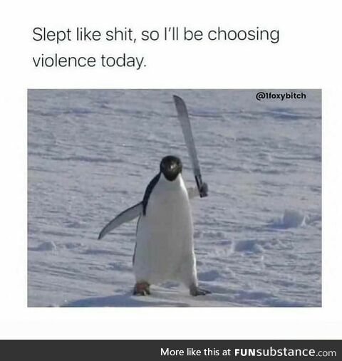 Choosing violence today