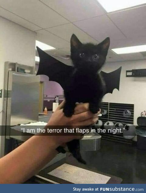 The terror that flaps in the night