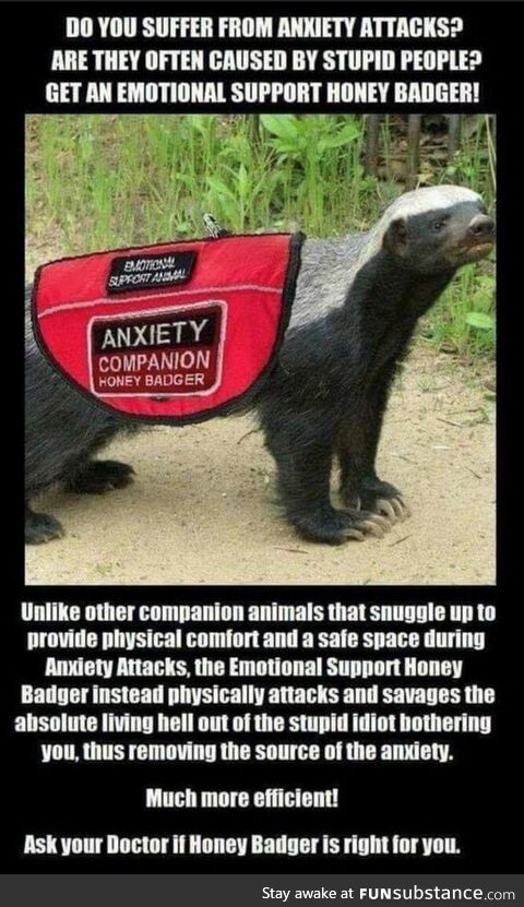 Emotional Support Honey Badger
