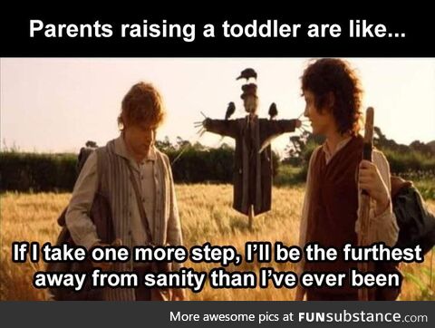 Raising a toddler, furthest away from sanity you'll ever be