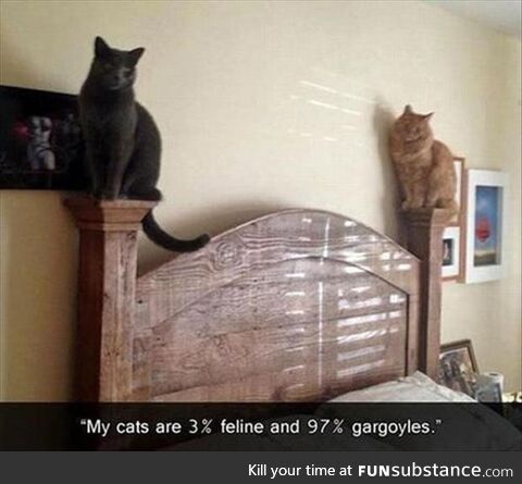 Gargoyle Cats