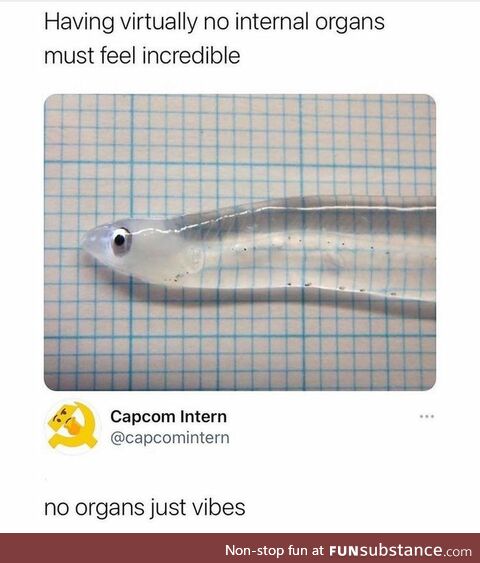 No organs, just vibes