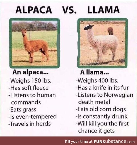 Stay calm-a when you want to harm a llama