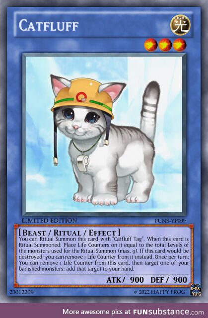 YugiPro #9 - Look What the Cat Summoned