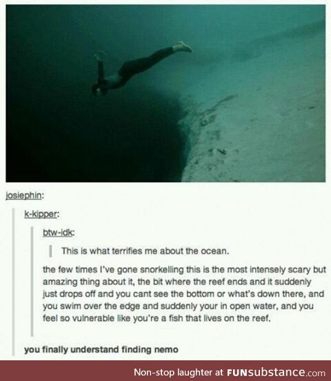 You finally understand finding Nemo