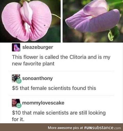 Male scientists will spend hours explaining the name to female scientists