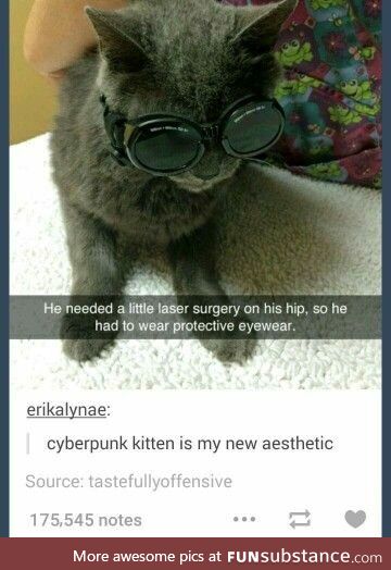 Cyberpunk Kitten