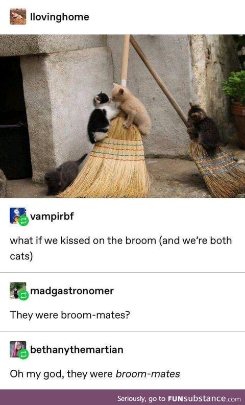 And They Were Broom-Mates