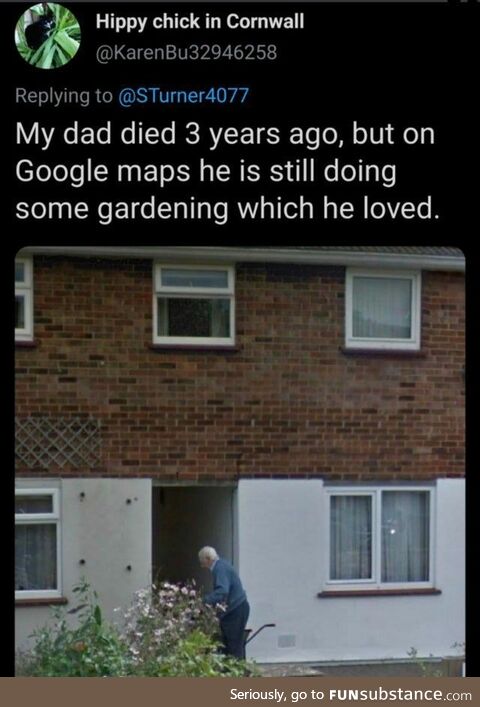 Dad still gardening on google