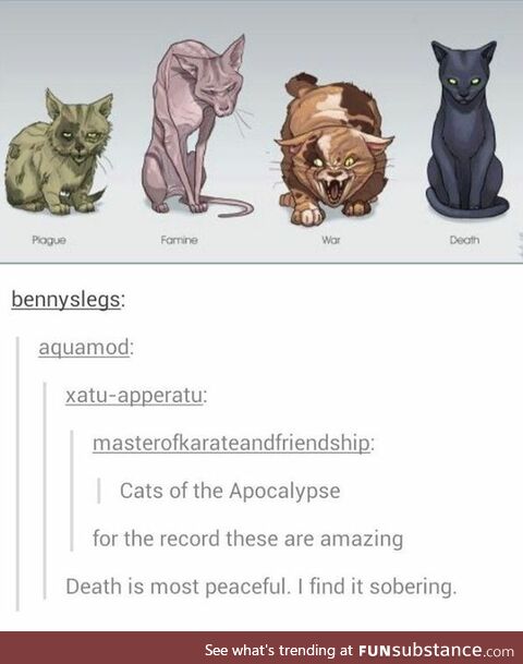 Cats of the apoclaypse