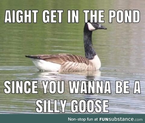 What sound does geese make again?