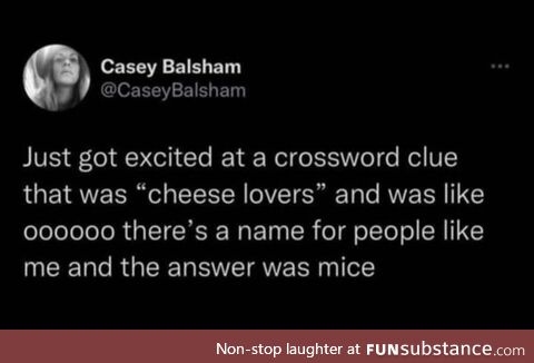 The actual word for cheese lovers is Turophile apparently