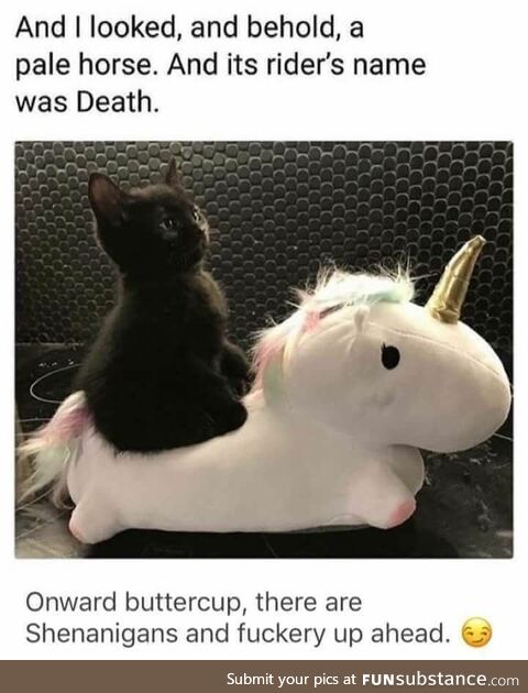 A Pale horse named buttercup