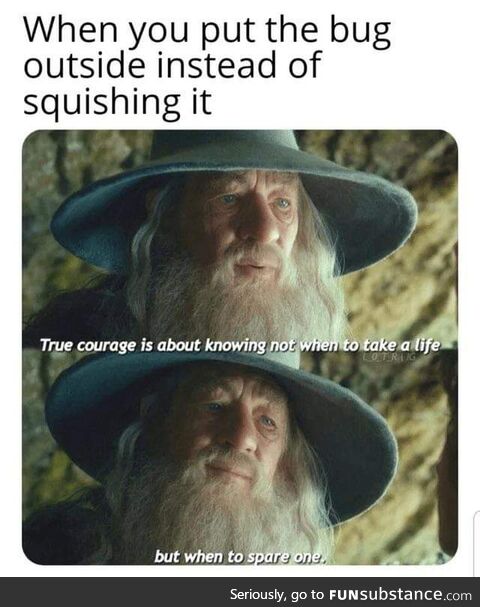 For Gandalf, This Is Not a Grey Area