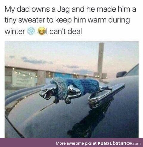 You Gotta Keep the Little Guy Warm