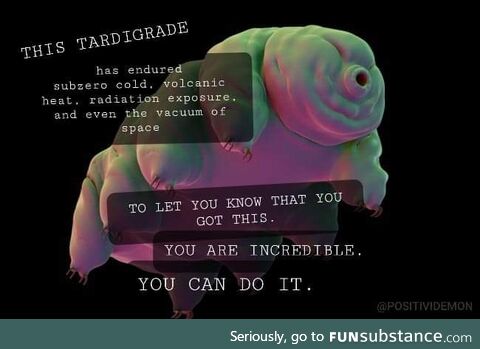 Are you saying the waterbear is wrong?