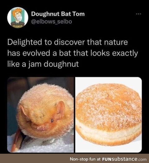 This Is My Jam (Doughnut)