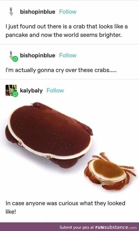 Pan-crabs