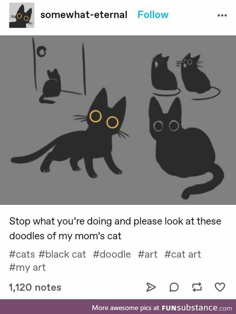 Look at these doodles of their mom's cat