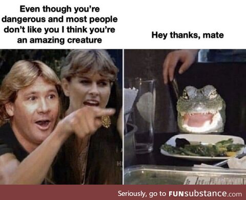 I don't have a title. Just a Steve Irwin meme