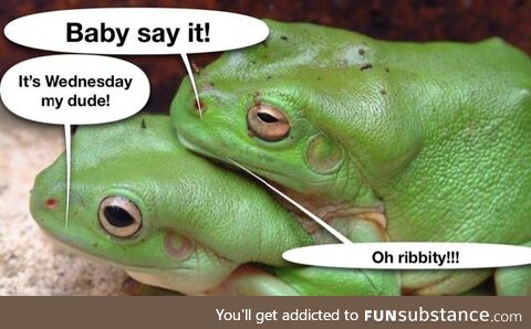 Froggo Fun R #75 - Sweet Nothings