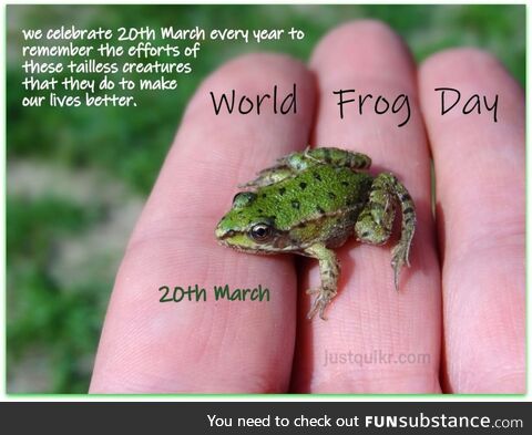 Froggo Fun R #80/Special - Guess What Day It Is