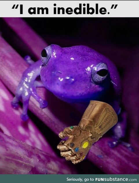 Froggo Fun R #90 - "Dread it. Run from it. Wednesday arrives all the same, my dudes."